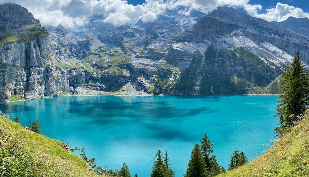 swiss business landscape
