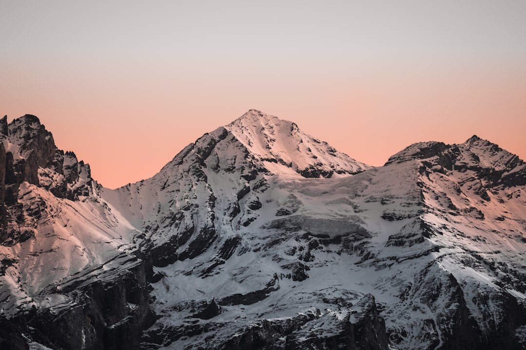 swiss mountain business view